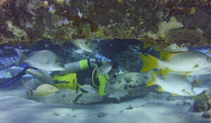 Spotlight on Robert Rhéaume - Fondation Montfort